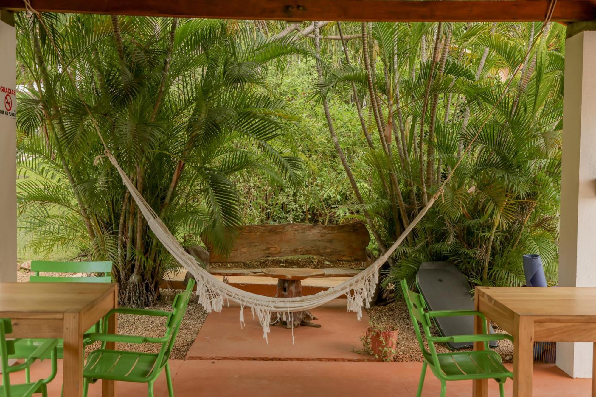 Hotel Del Sol Coco