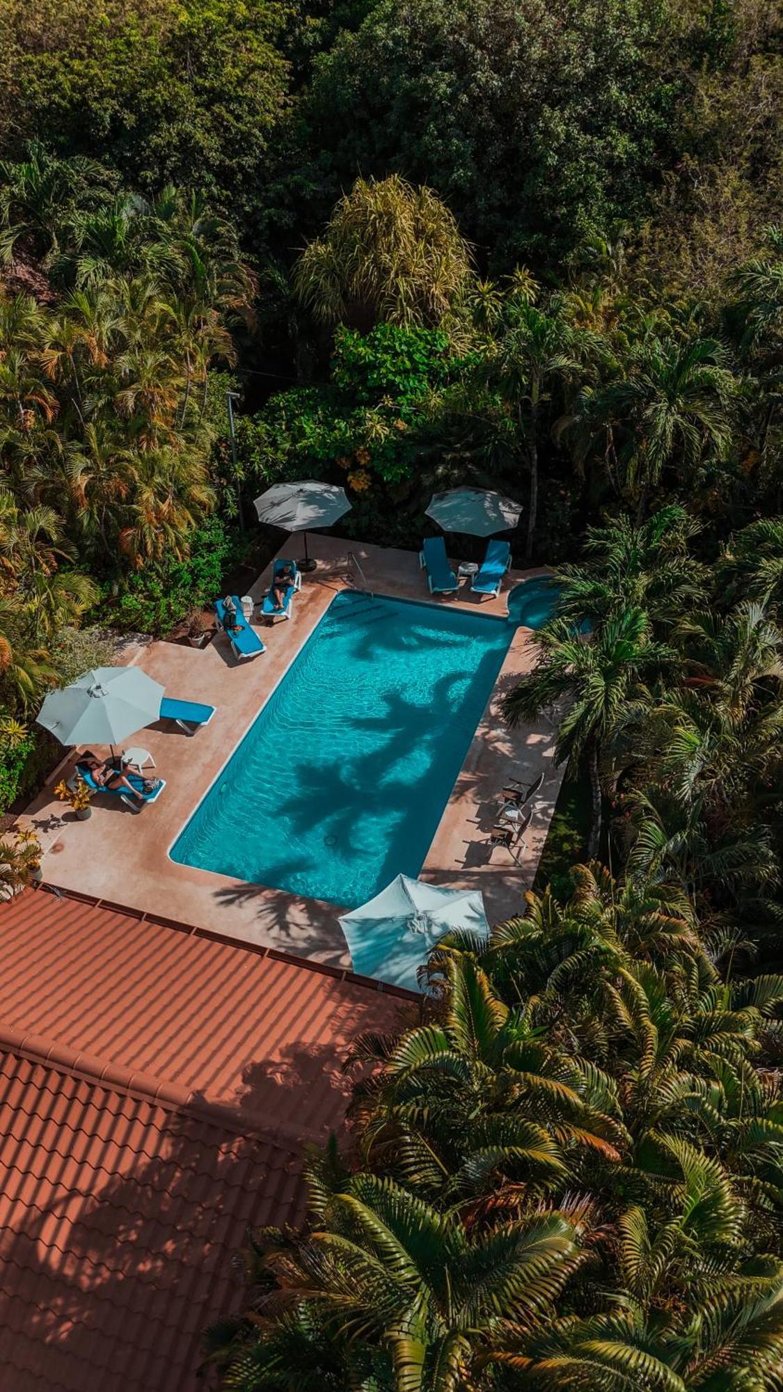 Hotel Del Sol